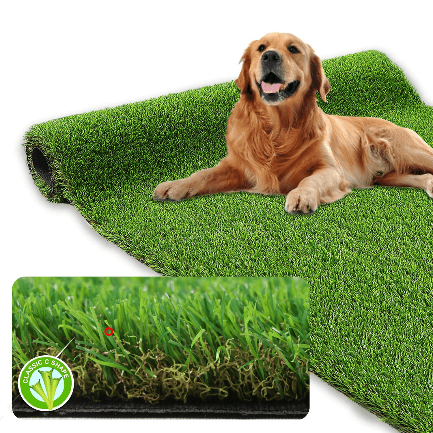 Dog Grass